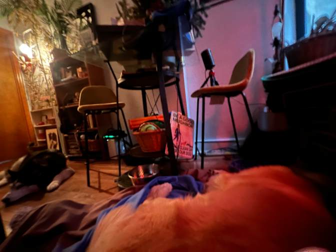 Lena's room