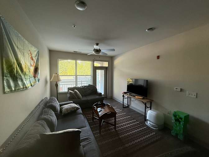 David's room