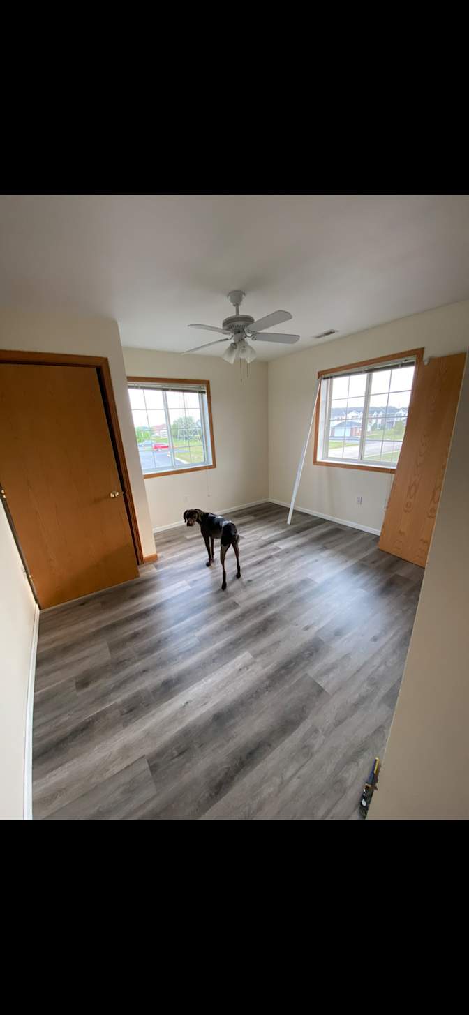 Fredi's room
