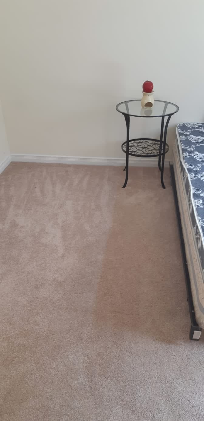 Shaheen's room