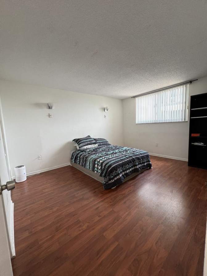 David yao's room