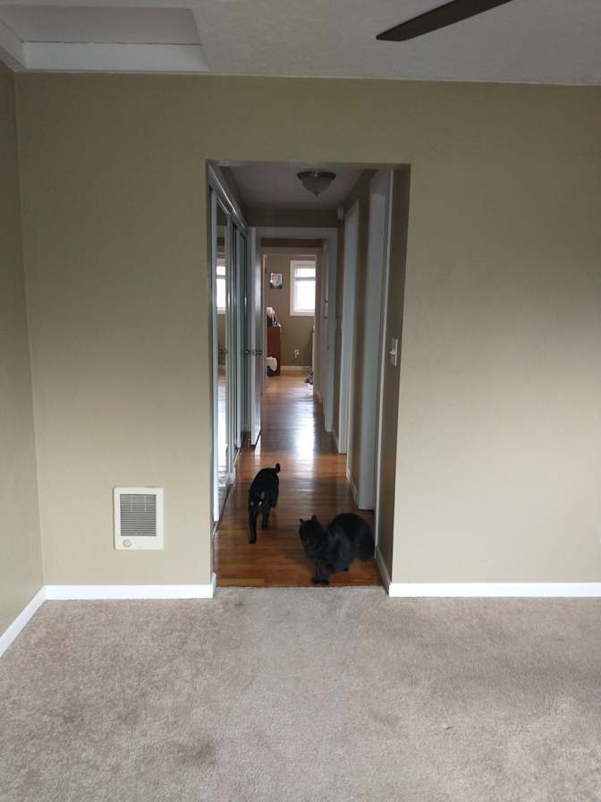 Carol's room