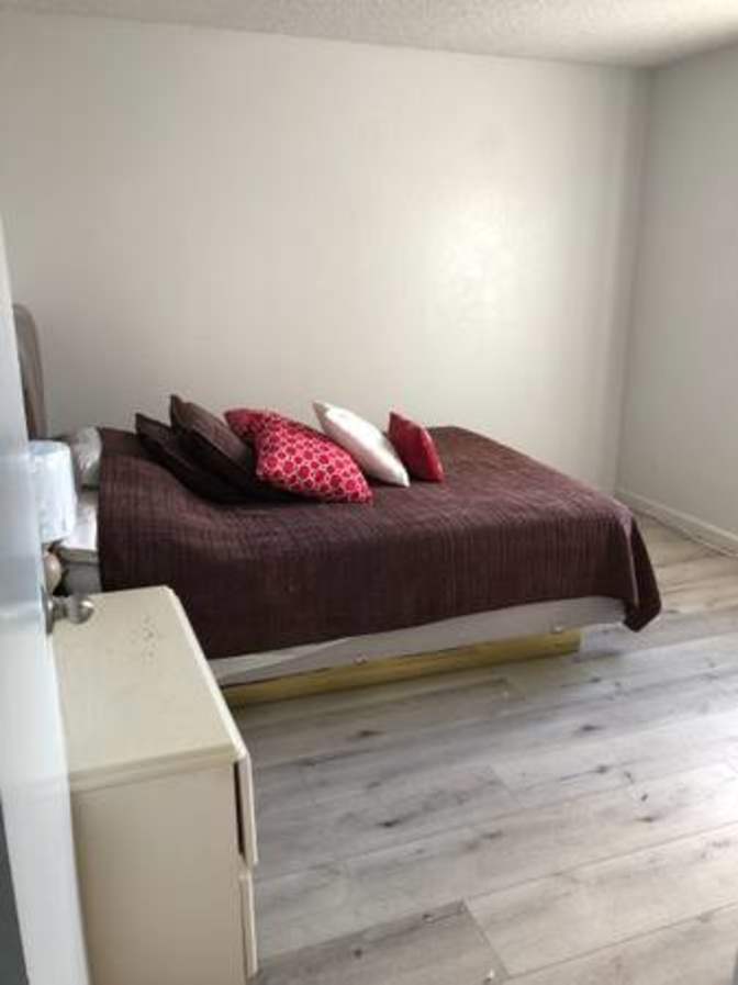 Room for rent's room