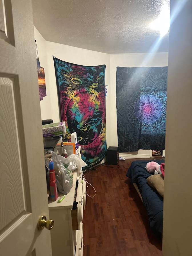 Nolyn's room