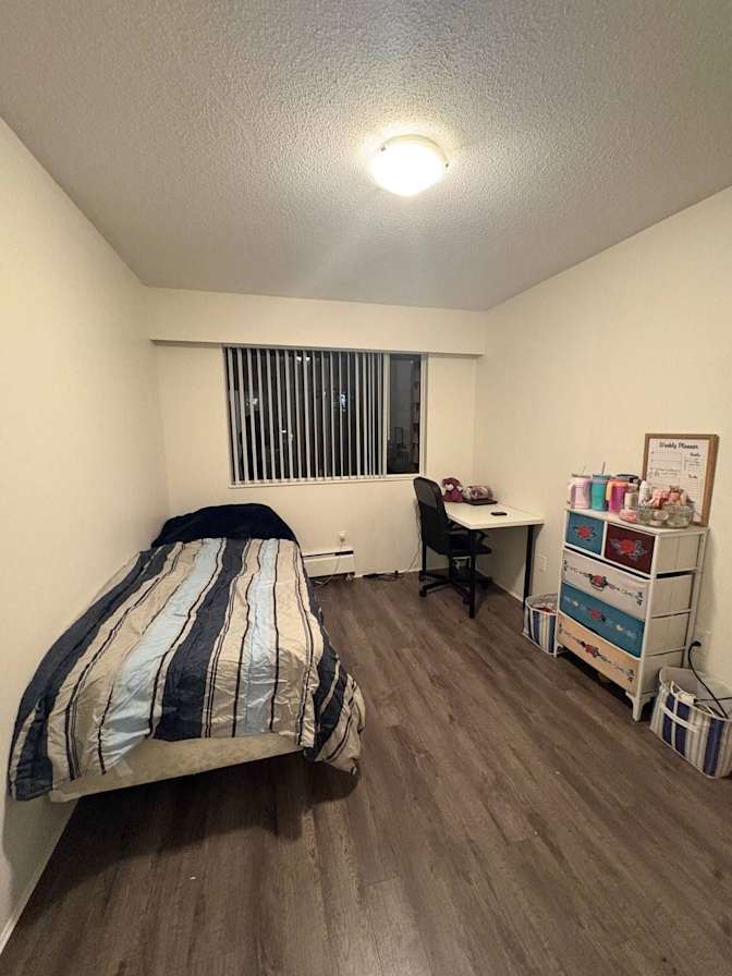 Sedi's room