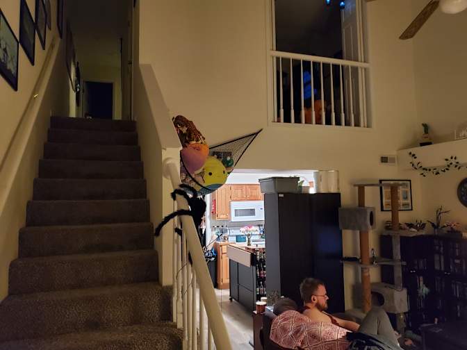 Jessica's room