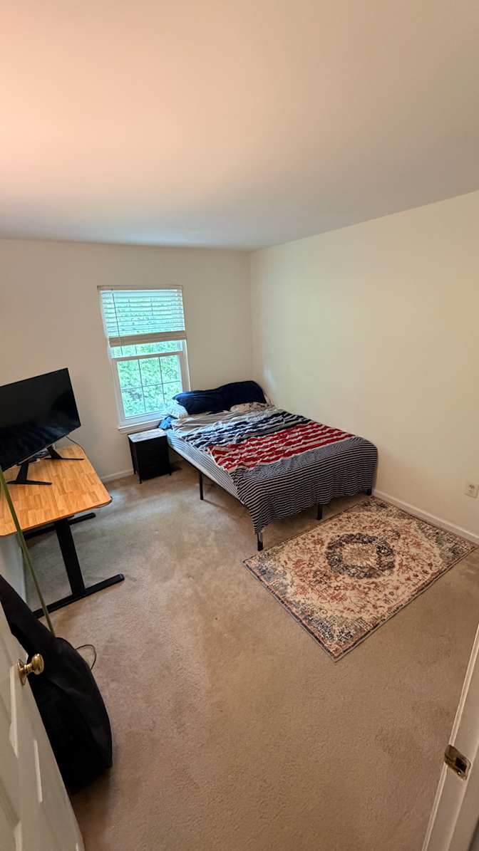 Michail's room