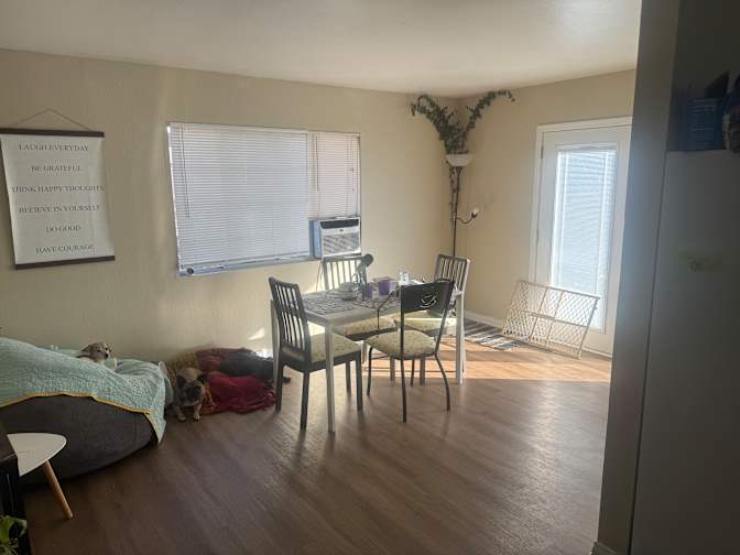 Brandon's room