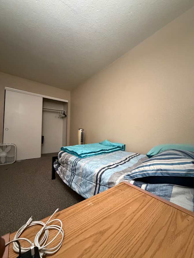Vishwanath's room