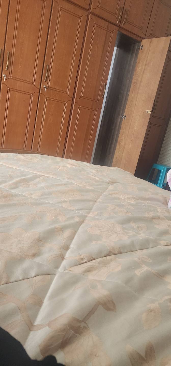 Ameyu's room