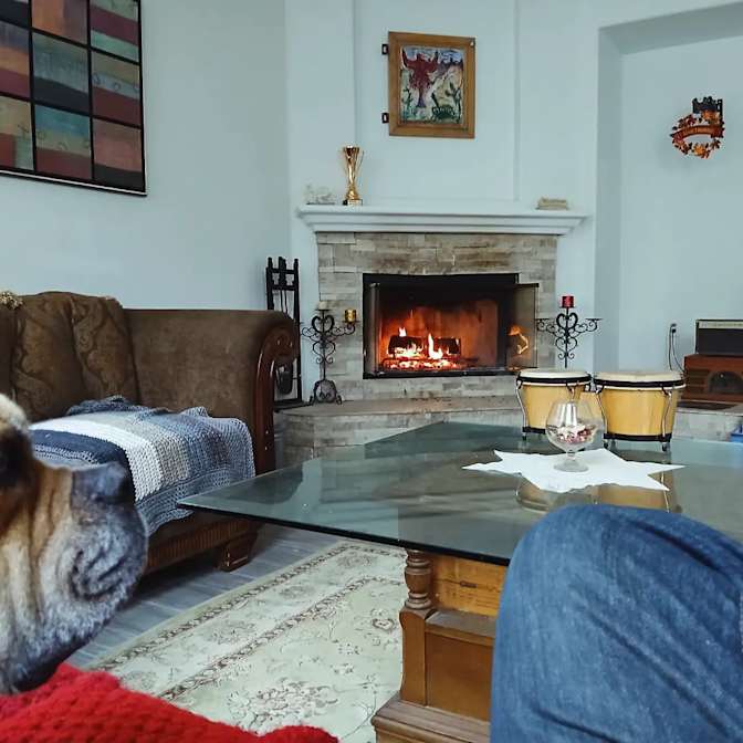 Rocky's room