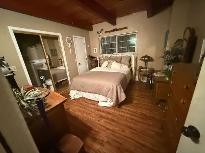 allison tune's room