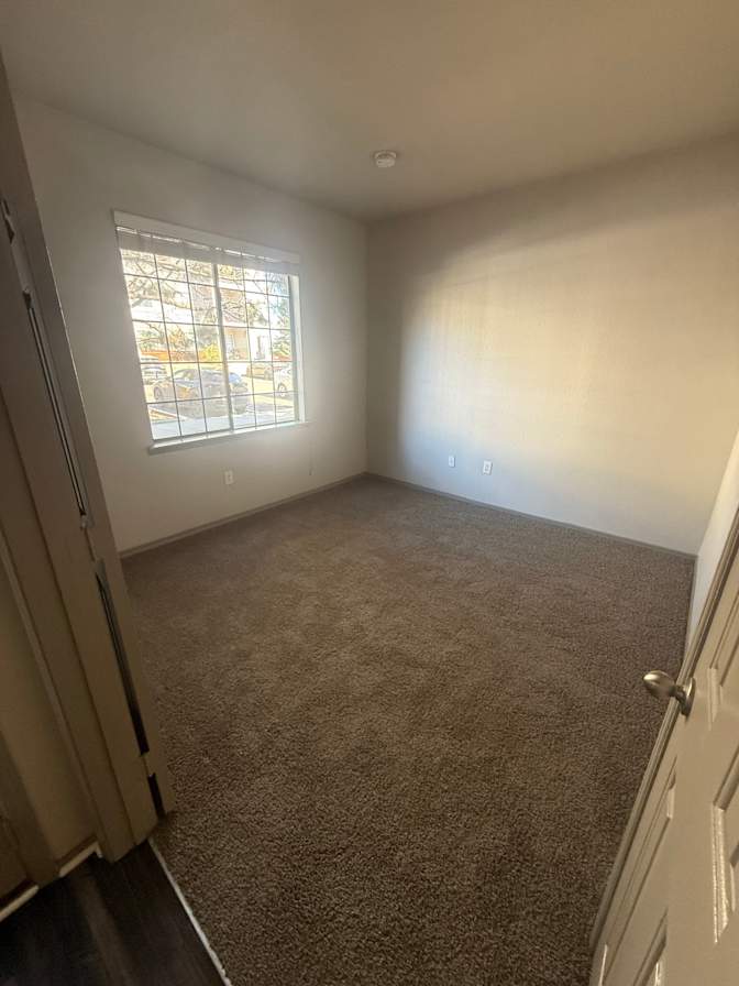Matthew's room