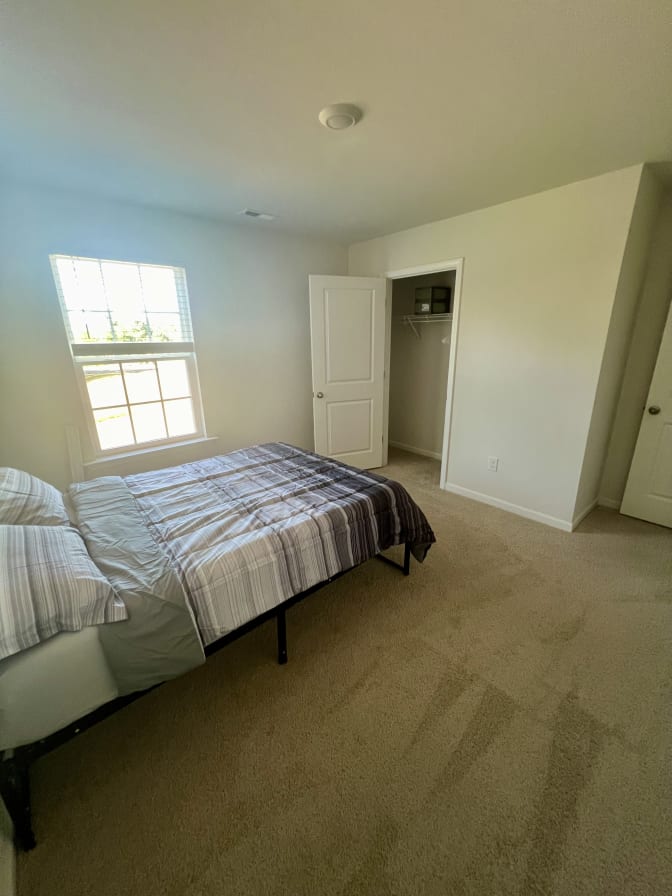 Taz's room