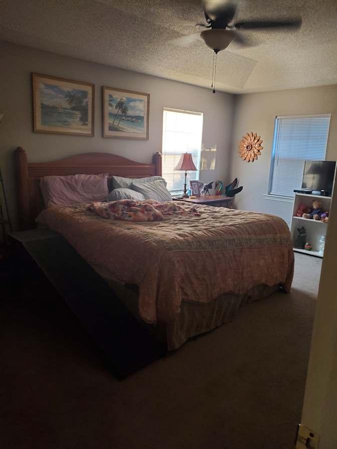 Laura Nowlin's room