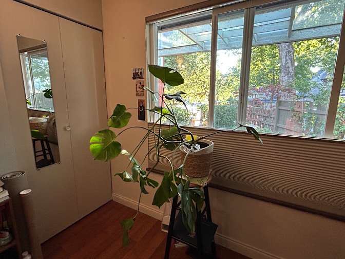 CG's room