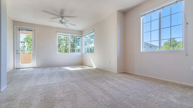 Harvey's room