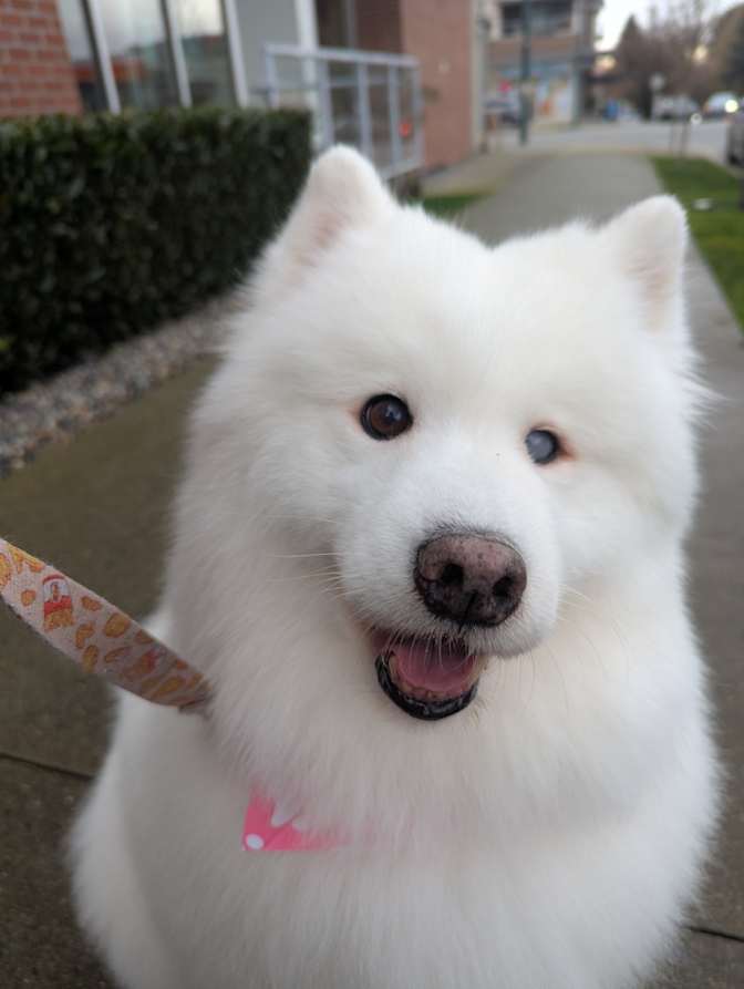 Jeff Longstreet's room