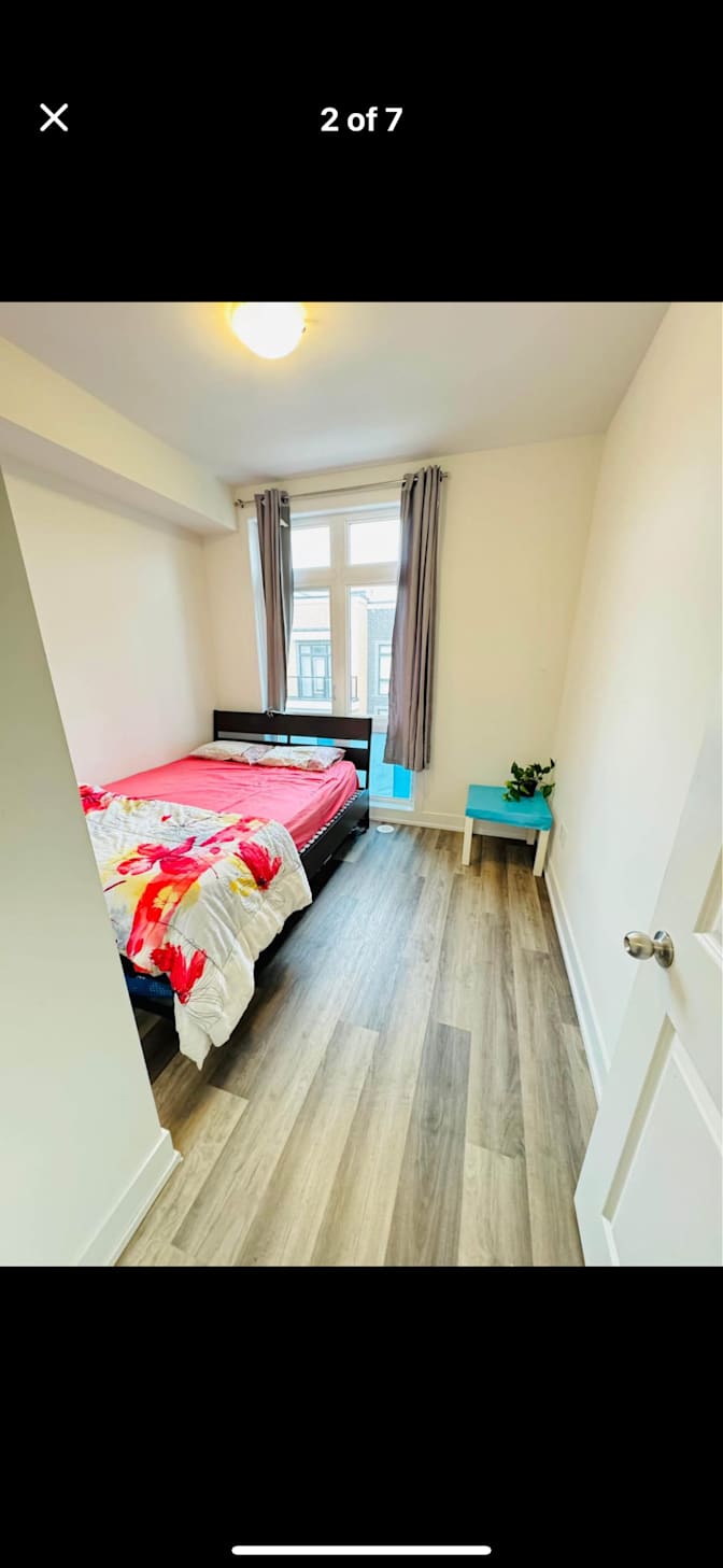 Meisam Rostaminia's room