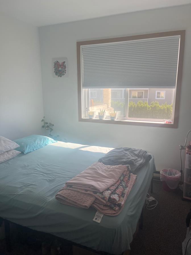Sasha's room