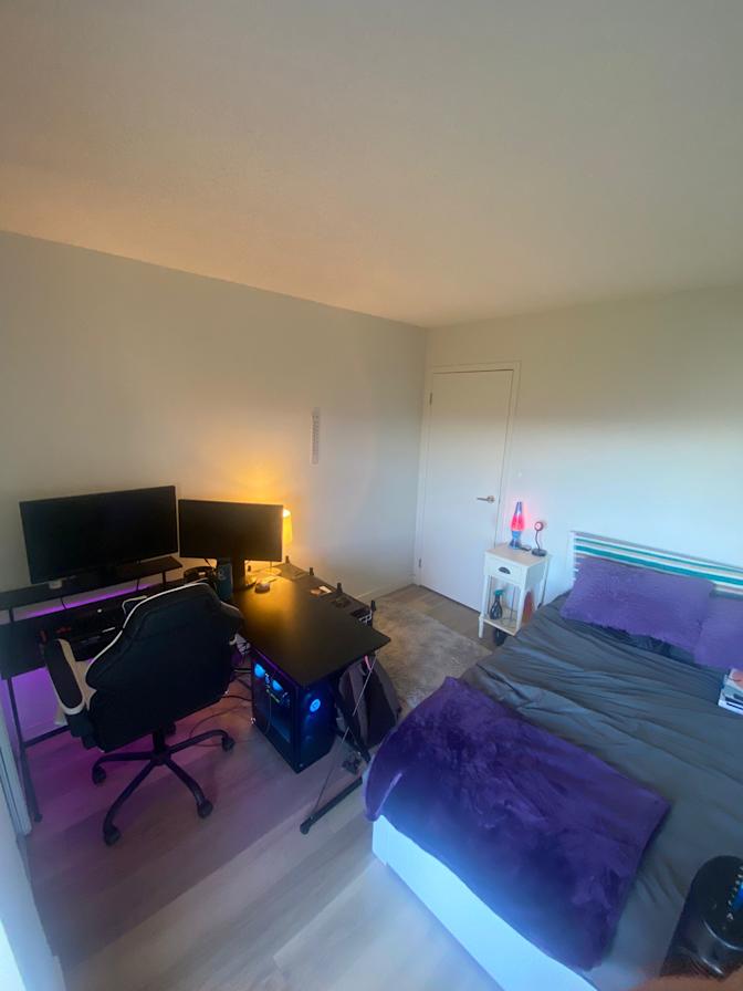 Mehdi's room