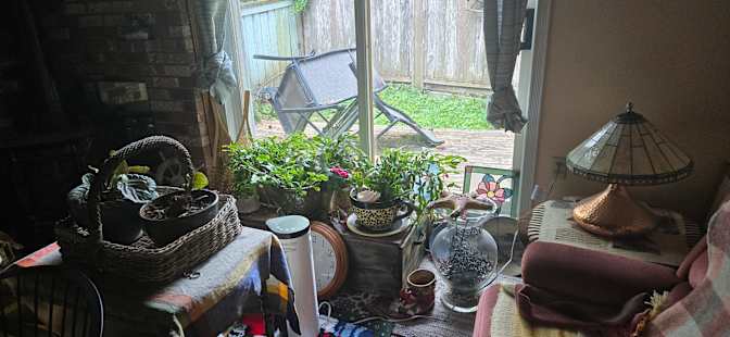 DIANNE BELLIVEAU's room