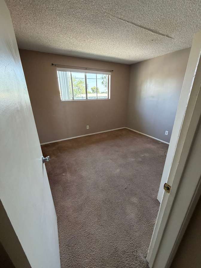 Peter's room