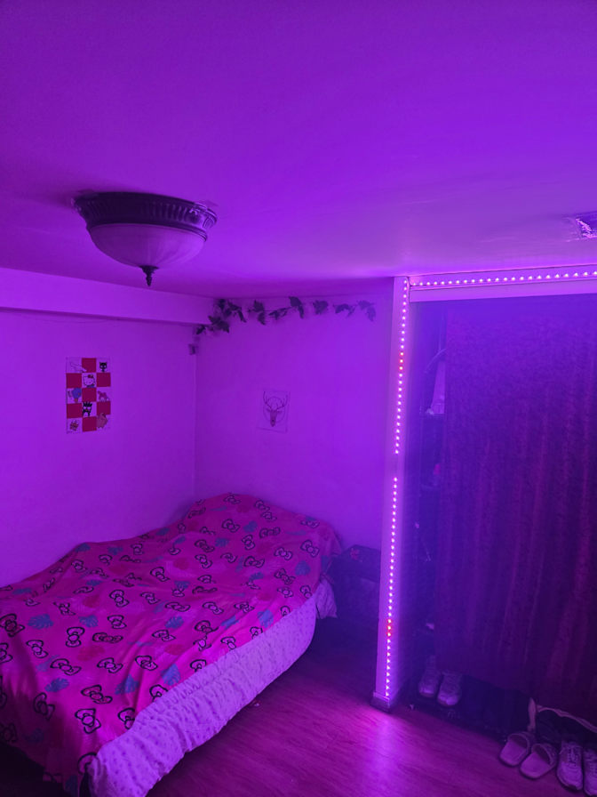 John Kar's room
