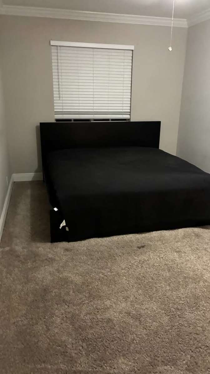 N's room