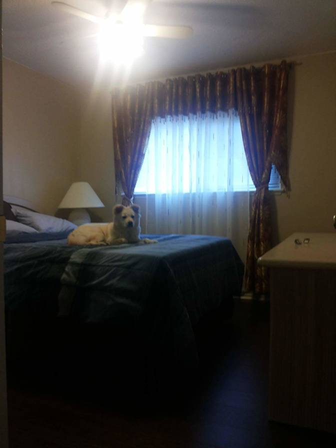 Jes's room