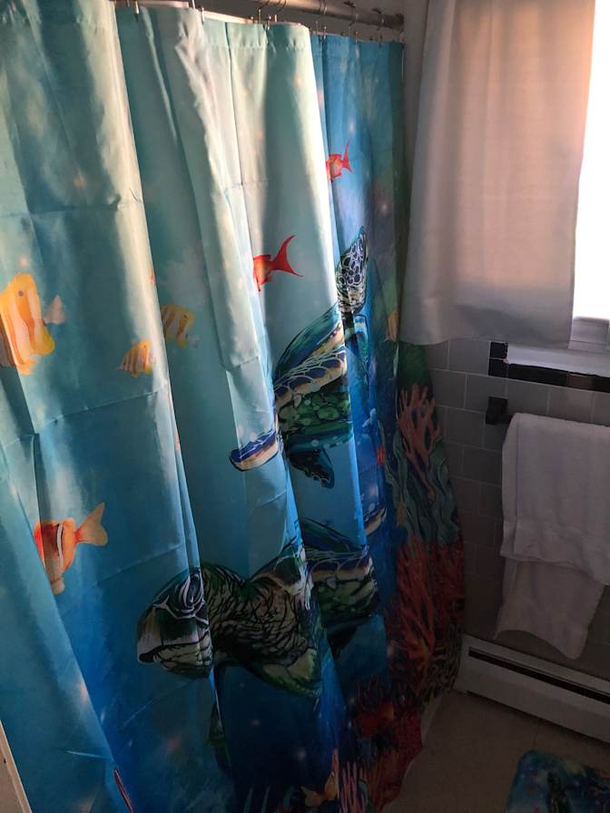Islander's room