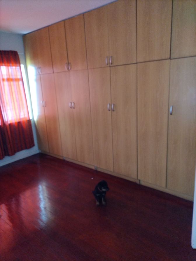 Morne's room