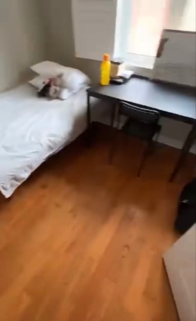 Yazmine Rahimi's room