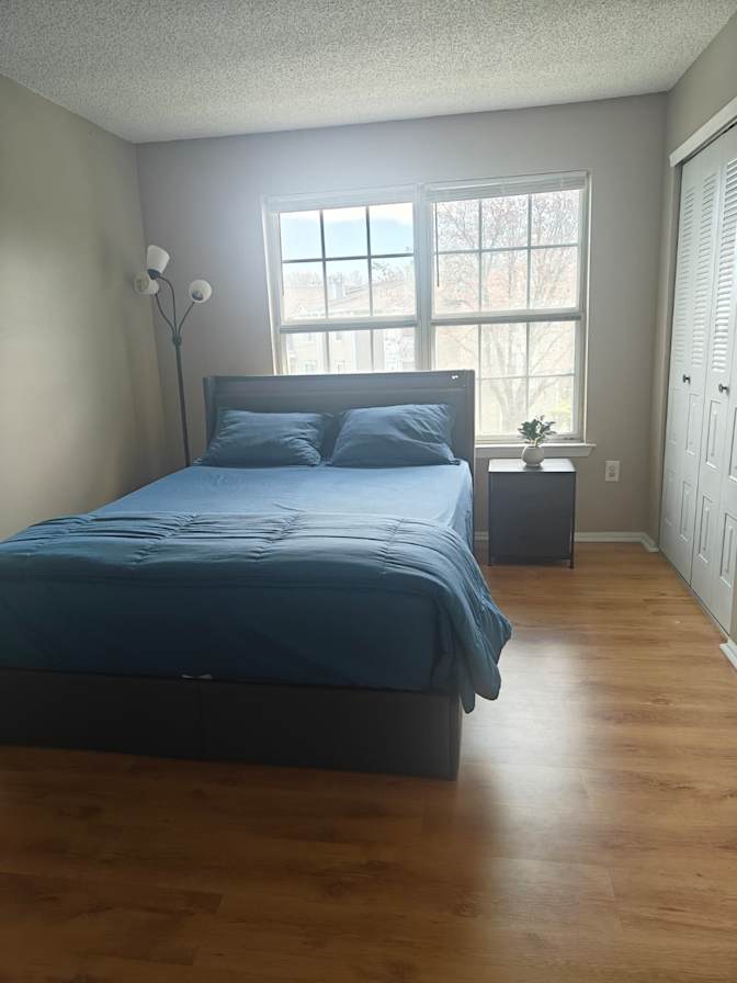Lavanya S's room