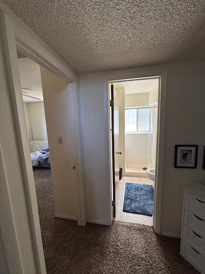 Brandon Sahawneh's room