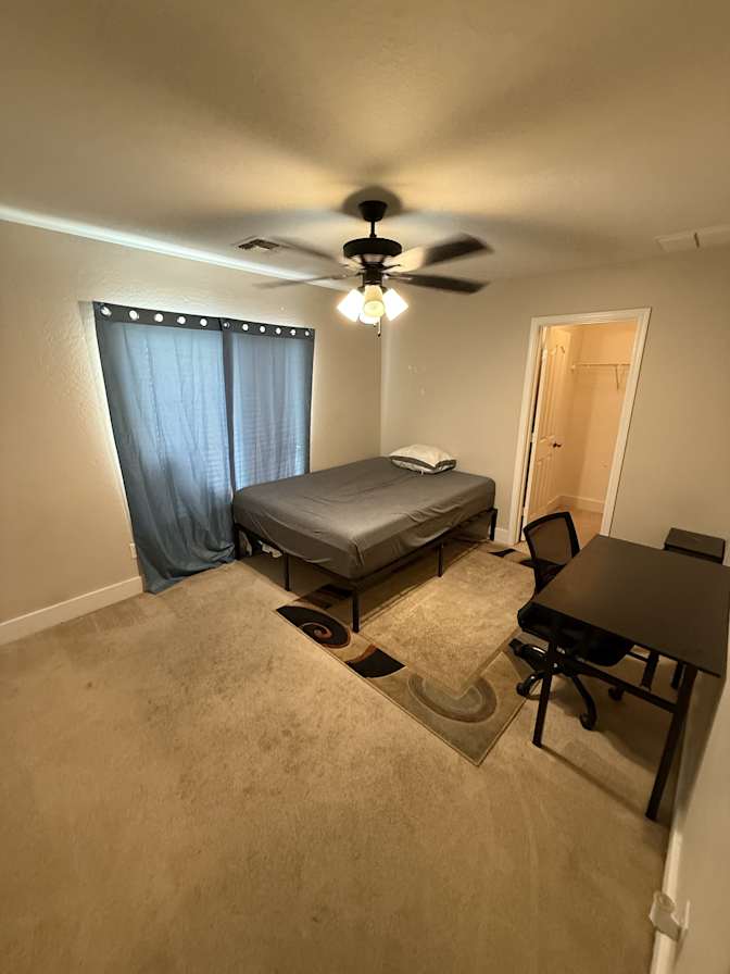 Roomly's room