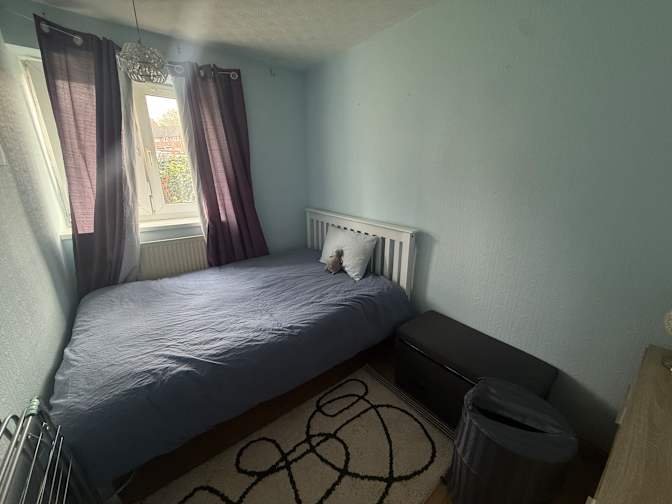 Zehra Simge Cebi's room