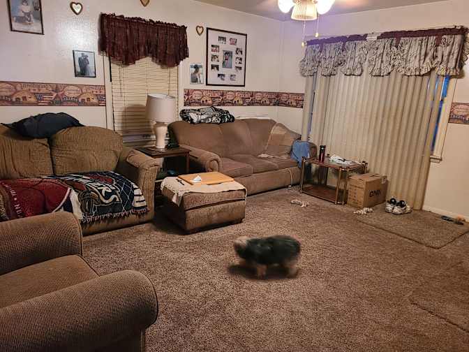 Ray's room