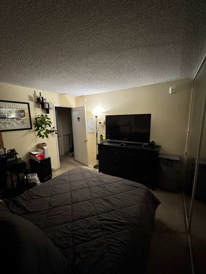 Tyler's room