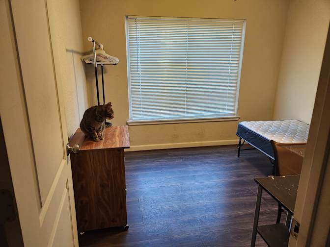 Matt's room