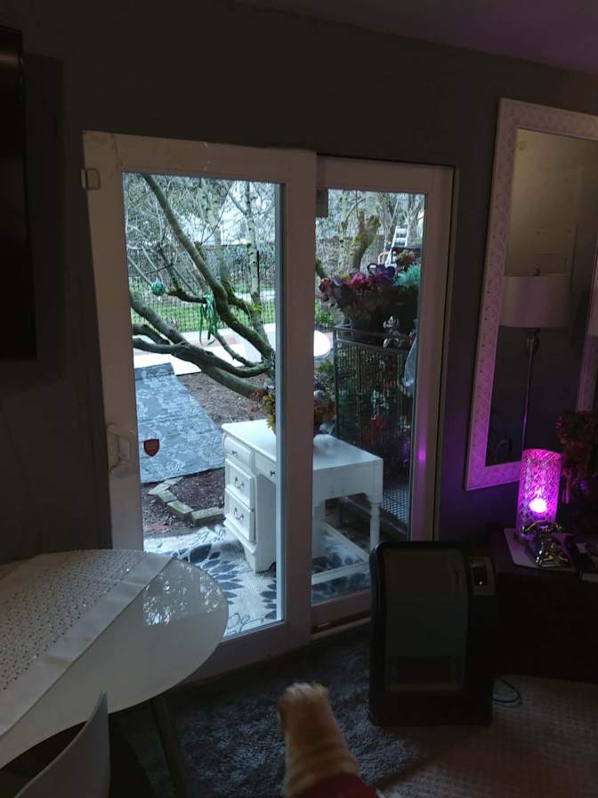 Alessandrea's room