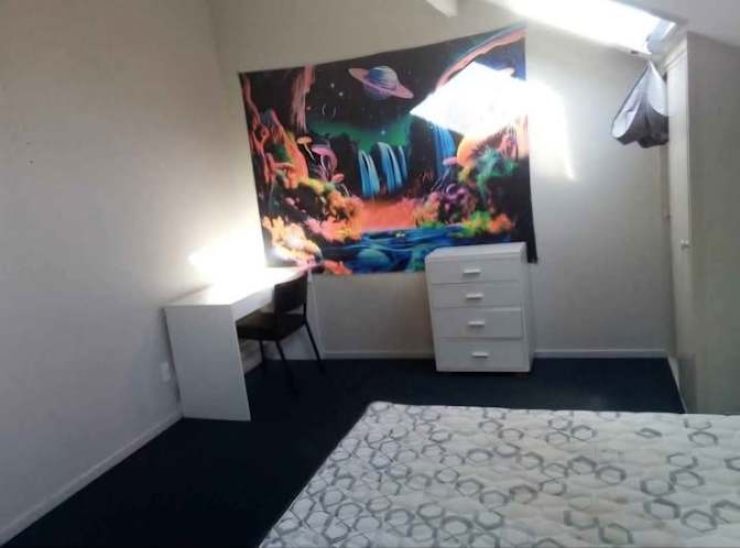 patricia adamkova's room