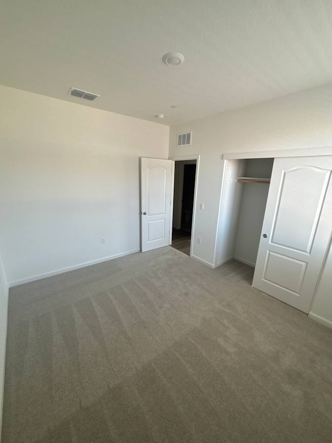 Avi's room