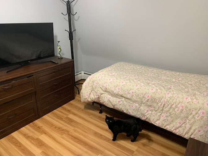 Louie's room