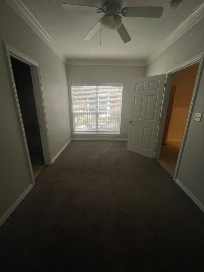 Adrianna's room