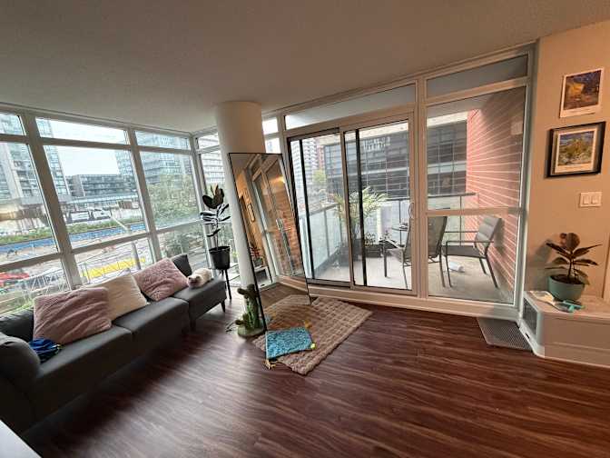 Vanesolie's room