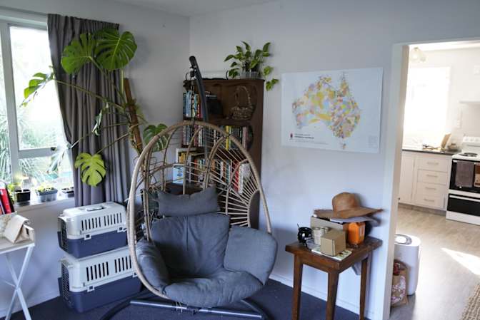 Charlie's room
