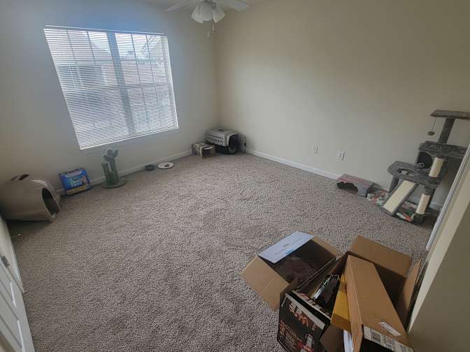 Phoenix Rios's room