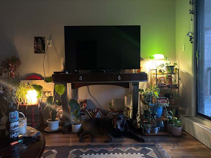 Akshama's room