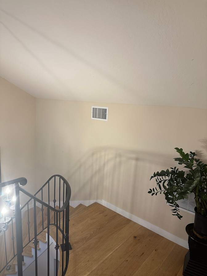 Nahid's room